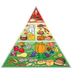 Food pyramid vector image