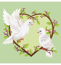 Dove on a heart shape tree vector image