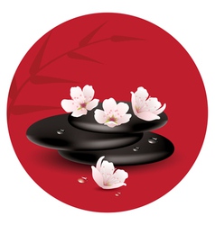 Stones and cherry flowers vector image