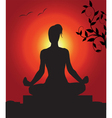 Outdoor Yoga vector image