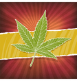 Background with cannabis leaf and rasta colors vector image