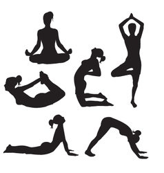 Yoga vector image