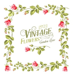Vintage flower frame vector image