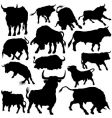 Bull silhouettes vector image