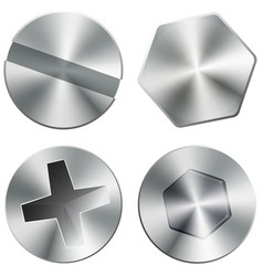 Metal shiny screws and bolts vector image