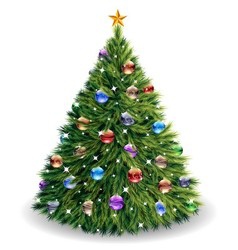 Christmas tree vector image