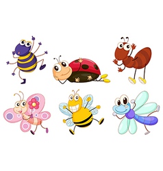 Different bugs and insects vector image