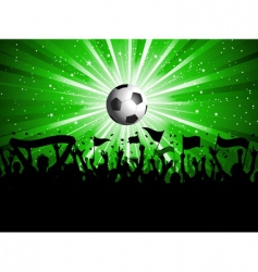 Football crowd vector image