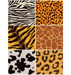 Fur texture vector image