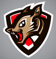 Squirrel gray shield logo vector image