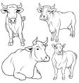 Cow set vector image