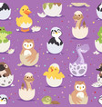 Cute new born animals in eggs easter seamless Cute new born animals in eggs easter seamless vector image