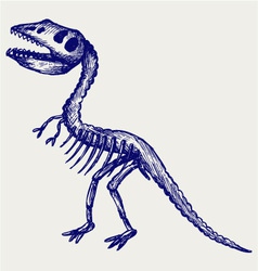 Tyrannosaurus skeleton vector image
