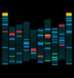 Dna vector image