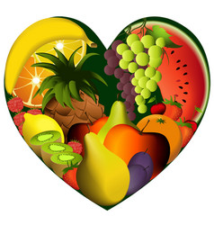 Fruits vector image