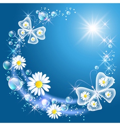 Daisy and butterflies vector image