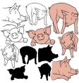 Pigs set vector image