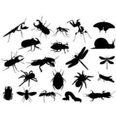 Insects vector image