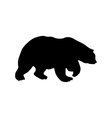 Bear black silhouette vector image
