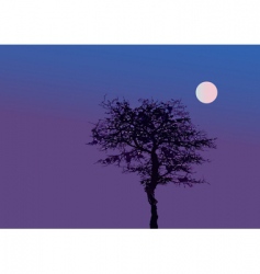 Tree night vector image
