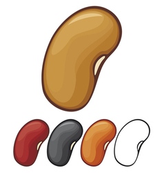Beans vector image