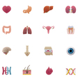 Anatomy icon set vector image