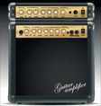 Guitar combo vector image