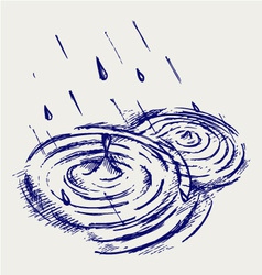 Rain drops rippling in puddle vector image