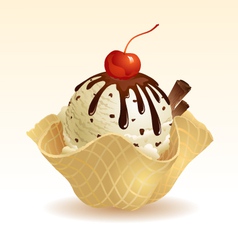Ice cream Vanilla Chocolate chip vector image