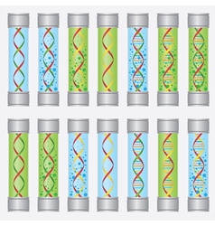 DNA samples vector image