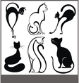 Black cat vector image