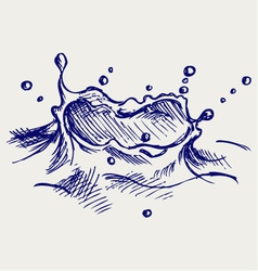Water drops vector image