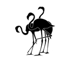 Flamingo vector image