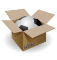 Ball in the box vector image