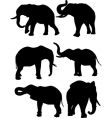 Elephants vector image