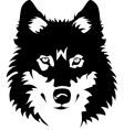 Wolf vector image