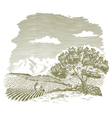 Mountain Farm Field Drawing vector image