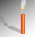 Dynamite vector image