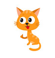 Cute and funny red cat character sitting and vector image