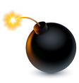 Bomb vector image