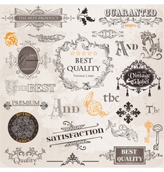 Set Calligraphic Design Elements vector image