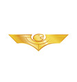 Eagle Eagle vector image