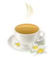 Cup of hot herbal tea vector image