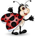 Happy ladybug vector image