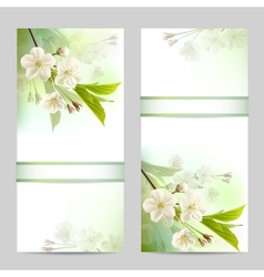 Set of spring banners vector image