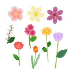 Flowers collection vector image