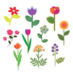 Flowers set vector image