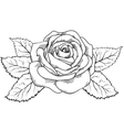 Rose in the style of black and white engraving vector image