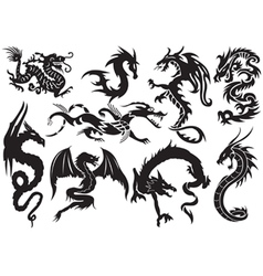 Dragons vector image