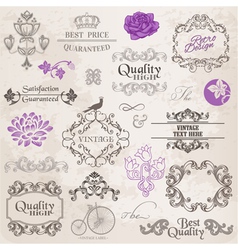 Set Calligraphic Design Elements vector image